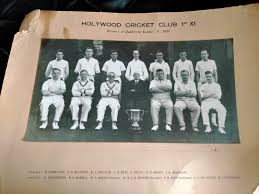 Image result for Weirs Cricket Club