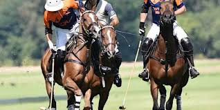 Image result for Cirencester Park Polo Club