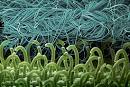 Space Fashion and Couture: Biomimetics