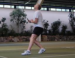 Image result for Basingstoke Racketeers Badminton Club