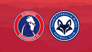 Image result for Dorking Wanderers F C