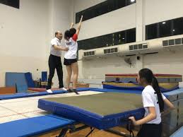 Image result for Rathgael Gymnastics and Trampolining Club