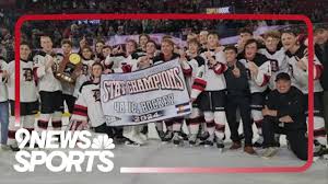 Image result for Demons Skater Hockey Club