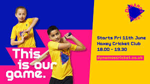 Image result for Haxey Cricket Club