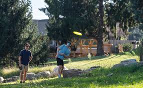 Image result for Ashville College Disc Golf Club