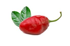 Afbeeldingsresultaat voor red rocoto hot pepper