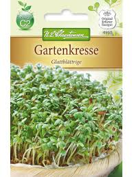 Image result for Gartenkresse