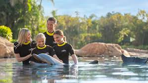 Image result for Discover Swimming