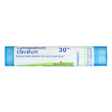 Attēlu rezultāti vaicājumam “Lycopodium clavatum”