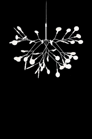 Attēlu rezultāti vaicājumam “Heracleum”