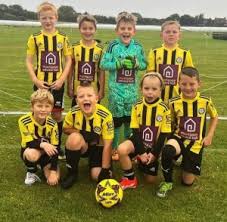 Image result for Abbey Lane Junior Football Club