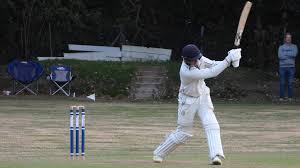 Image result for Bashley (Rydal) Cricket Club