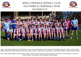Image result for The Downs Netball Club
