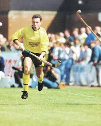 Image result for World of Shinty