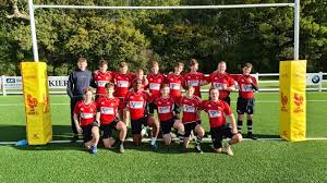 Image result for Royston Rufc