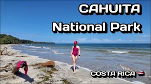 Image result for cahuita costa rica