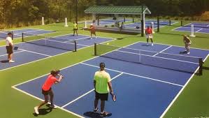 Image result for 1st New Forest Pickleball Club