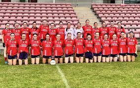 Image result for O`donovan Rossa Gfc