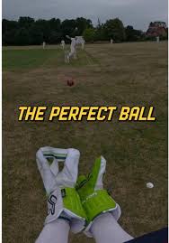 Image result for Lyndhurst Cricket Club