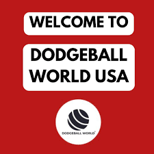 Image result for The Dodgeball Company