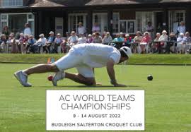 Image result for BUDLEIGH SALTERTON CROQUET CLUB