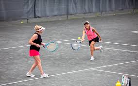 Image result for New Eagles Badminton Club