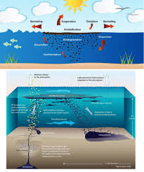 Image result for intemperismo