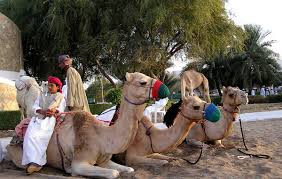 Image result for Nomads