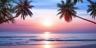 Image result for sunset