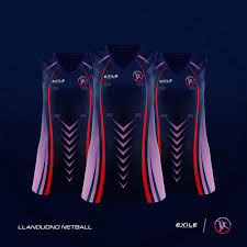 Image result for Didasko Netball Club