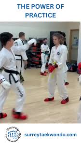 Image result for Surrey Taekwondo