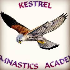 Image result for Kestrel Gymnastic Group