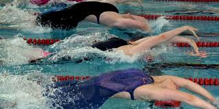 Image result for Morpeth Amateur Swimming Club