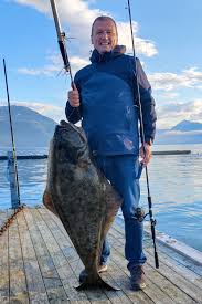 Image result for Hippoglossus hippoglossus