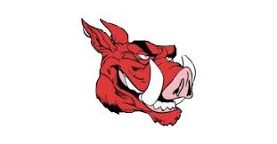 Image result for Stourport On Severn Cricket Club