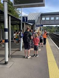 Image result for Guildford and Godalming Croquet Club