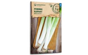 Image result for Porree