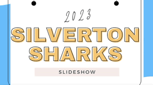 Image result for Sharks Swimming Club Of Mottingham