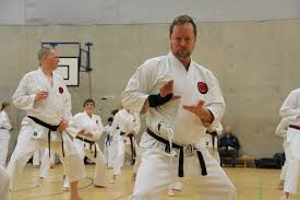 Image result for Twyford Higashi Karate Club