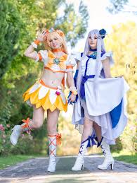 Image result for heartcatch