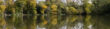 Image result for Bathampton Angling Association