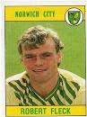 NORWICH CITY - Robert Fleck #211 PANINI "Football 90" Football Trading ... - norwich-city-robert-fleck-211-panini-football-90-football-trading-sticker-28397-p