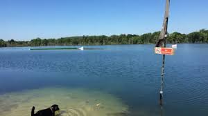 Image result for Nutfield Youth