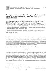 Attēlu rezultāti vaicājumam “Sarcoporia polyspora”