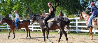 Image result for Greenways Riding Stable Lower Eashing