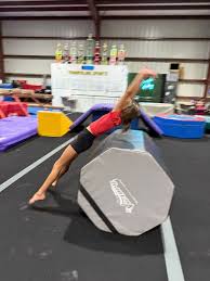 Image result for Dynamo Trampoline Academy