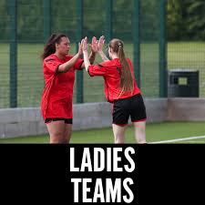 Image result for Netherne Community Amateur Sports Club