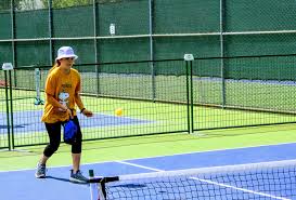 Image result for Hunters Badminton Club