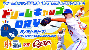 小羽　貝谷에 대한 이미지 검색결과