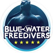 Image result for Blue Water Freediving School